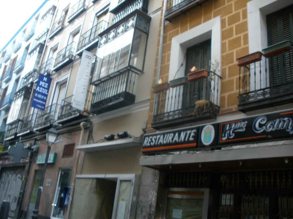 Hostal Del Pez Azul Hotell Madrid Exteriör bild